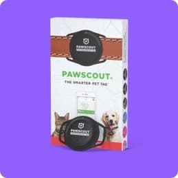 Pawscout Tag